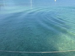 2025-Attersee (6)